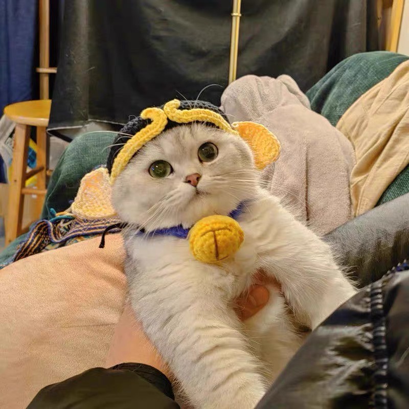 Mũ cosplay trư bát giới Tây Du Ký, mũ len handmade cho chó mèo CHILLMEOW