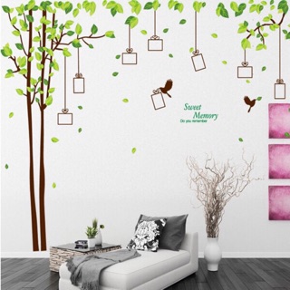Decal dán tường cây khung ảnh cỡ lớn