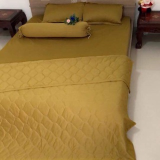Set ga vàng đồng mai mai m6 & 1 tấc