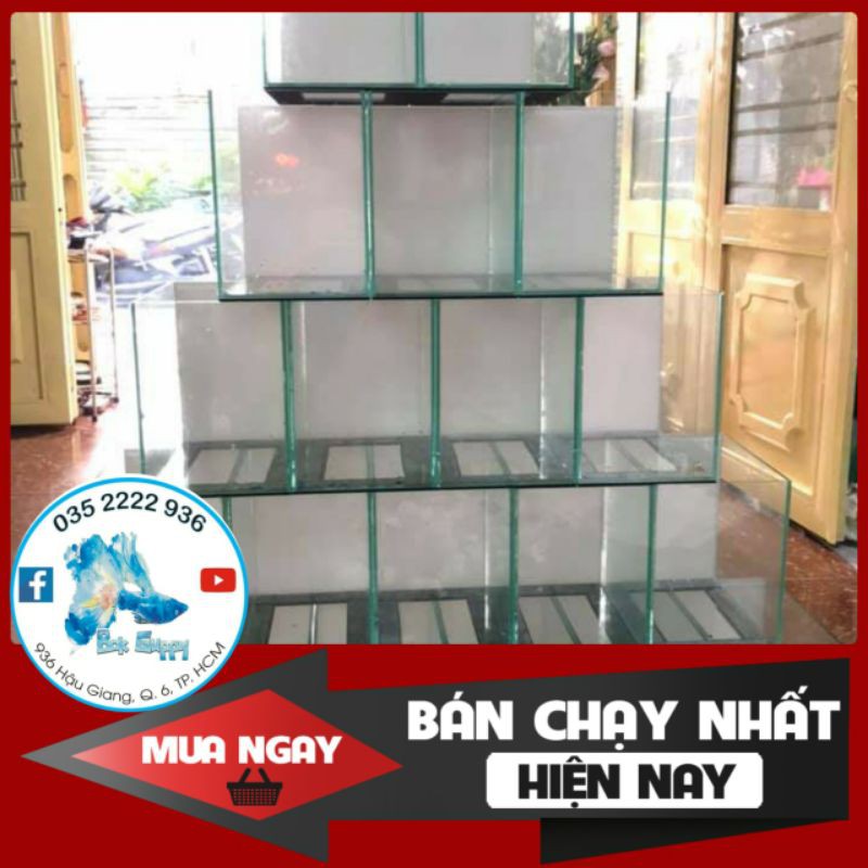 Bể Cá Mini - Hồ Cá Dán Dấu Keo - Keo Betta - Bể Cá Trang Trí Để Bàn