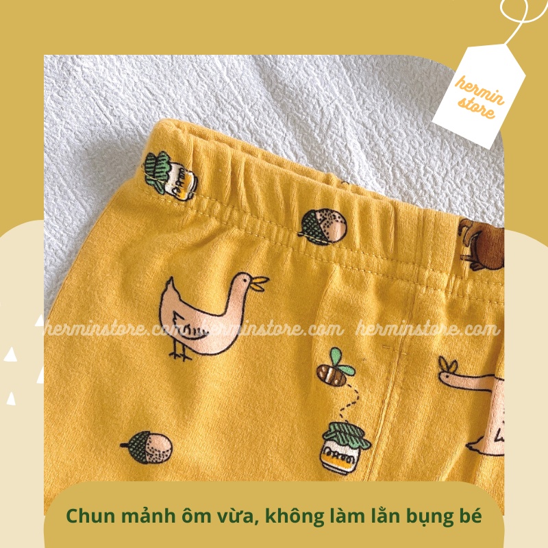 Bộ dài tay cho bé - bộ cotton cho bé giữ nhiệt dày dặn và thấm hút mồ hôi hãng AMBB