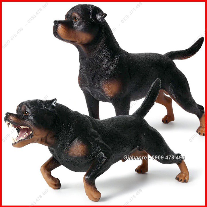 Mô Hình Giống Chó Giữ Nhà Tấn Công Rottweiler - 22cm - 4685