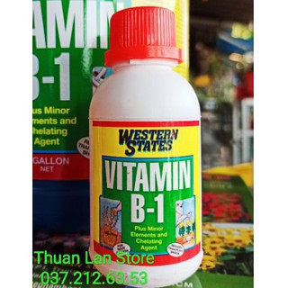 Phân Bón Lá Vitamin B1 Nhập Khẩu Mỹ lọ 100ml