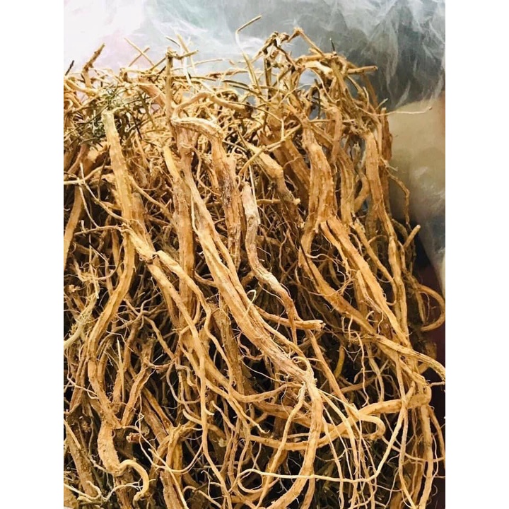 Sâm dây khô  Ngọc Linh - Hàng lớn