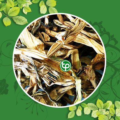 500g Trinh Nữ Hoàng Cung - Thảo Dược Việt