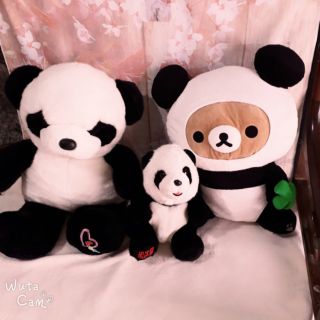 Gấu bông e oanh