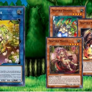 [ẢNH THẬT] TRAP TRIX DECK 2020 55 LÁ [BÀI IN]