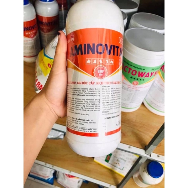Aminovital giá rẻ Tháng 1,2024|BigGo Việt Nam