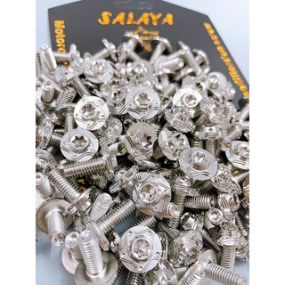 Ốc salaya 6ly10 6ly15 6ly20 gắn ốp pô , carte , đuôi cá , gắn nón bảo hiểm...