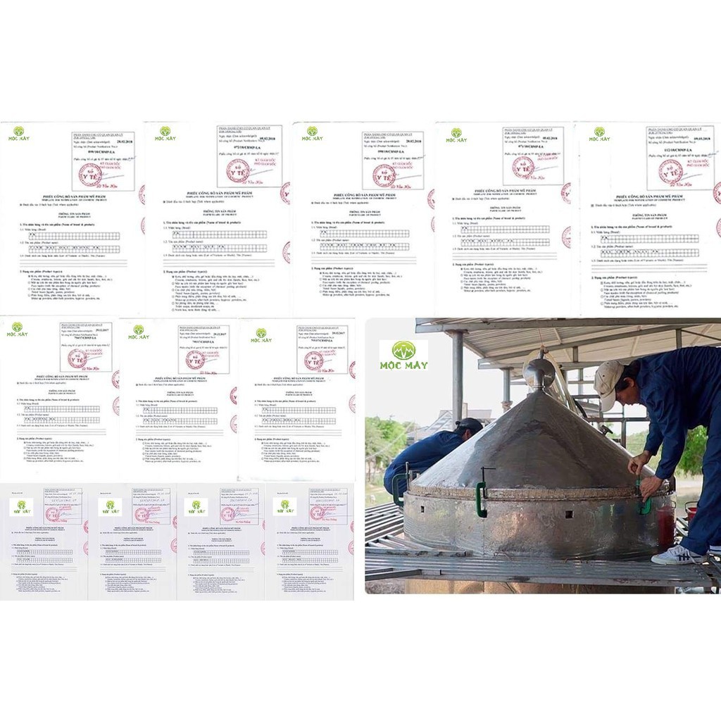 Tinh Dầu Tràm Cao Cấp Nguyên Chất 100% Hãng MỘC MÂY (Hàng Loại 1) - NK