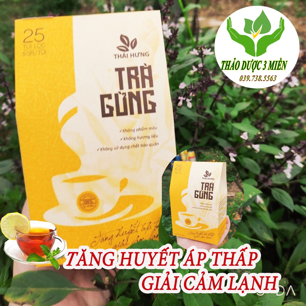 Trà gừng thái hưng giải cảm lạnh tăng huyết áp thấp hộp 25 túi lọc hàng chính hãng giá rẻ chất lượng cao