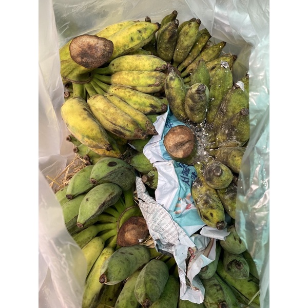 Chuối sứ (chuối xiêm) ship liền 1kg