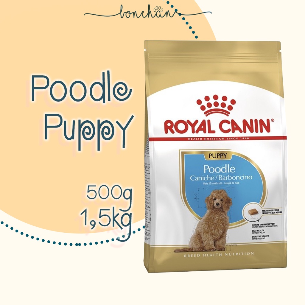 Hạt Royal Canin Poodle Puppy - Hạt khô cho poodle nhỏ túi 500g - 1,5kg