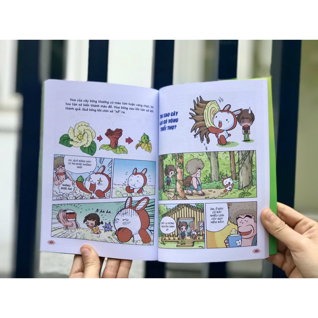 Sách tranh - 10 vạn câu hỏi vì sao