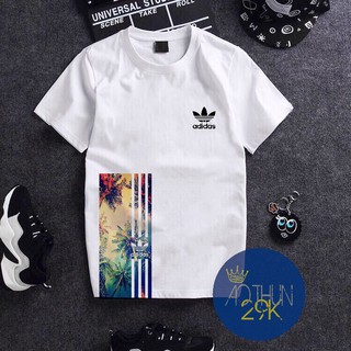 ALBUM 65 - ÁO THUN UNISEX MẪU MỚI 2024 TOP BÁN CHẠY