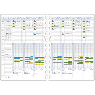 Set 30 Giấy Refill Binder Campus Study Planner Học Tập B5 Cây Đầu To