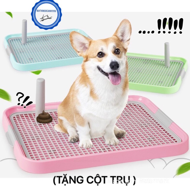 [Mã 2010FMCGSALE giảm 8% đơn 500K] 🐶🐶(SIZE TO-)KHAY VỆ SINH CHO CHÓ 🙈🙉