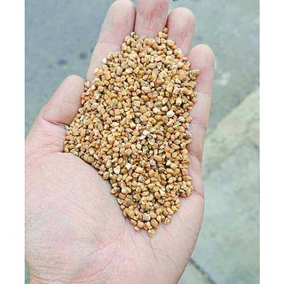 ĐÁ MAIFAN , MASATO RẢI MẶT SEN ĐÁ TRỒNG CÂY 1KG