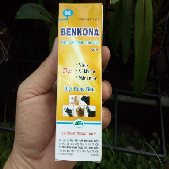 Thuốc sát khuẩn khử trùng Benkona 100ml