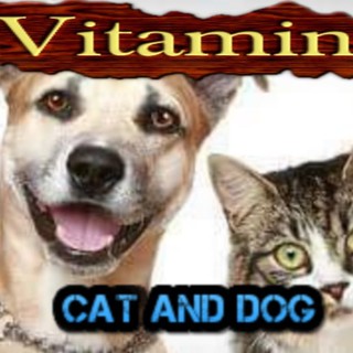 Vitamin pha nước cho chó mèo( 1 viên cho bình 500ml nước)