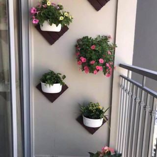 Chậu ốp tường bán nguyệt nhỏ hàng Việt Nhật