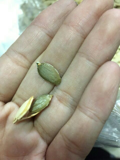 500g hạt bí chín | BigBuy360 - bigbuy360.vn