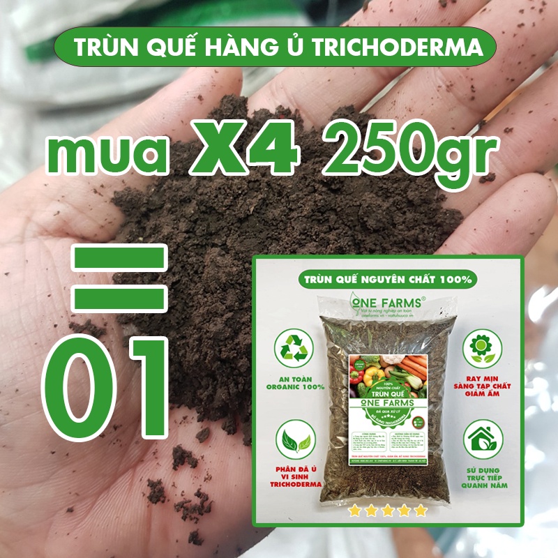 [Mua 7 tặng 1-250gr] Phân trùn quế đã qua xử lý có chất chống nấm dùng cho cây ăn quả, ăn trái, các loại rau củ.