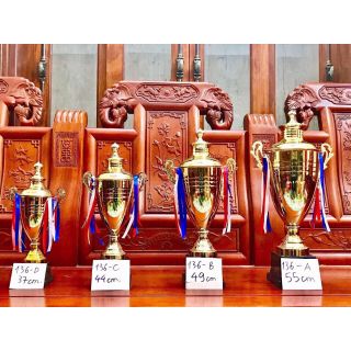 Cúp lưu niệm loại to nhất