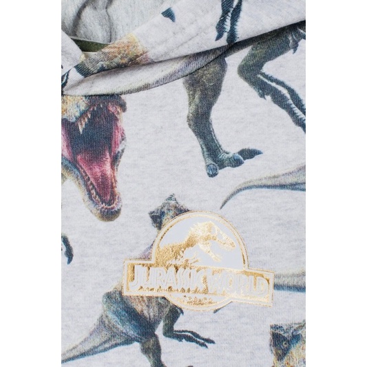 Áo nỉ hoodie HM
