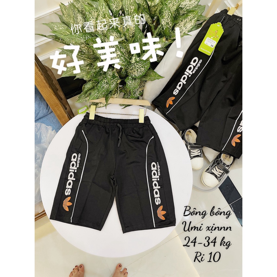 Quần ngố  UMI cao cấp