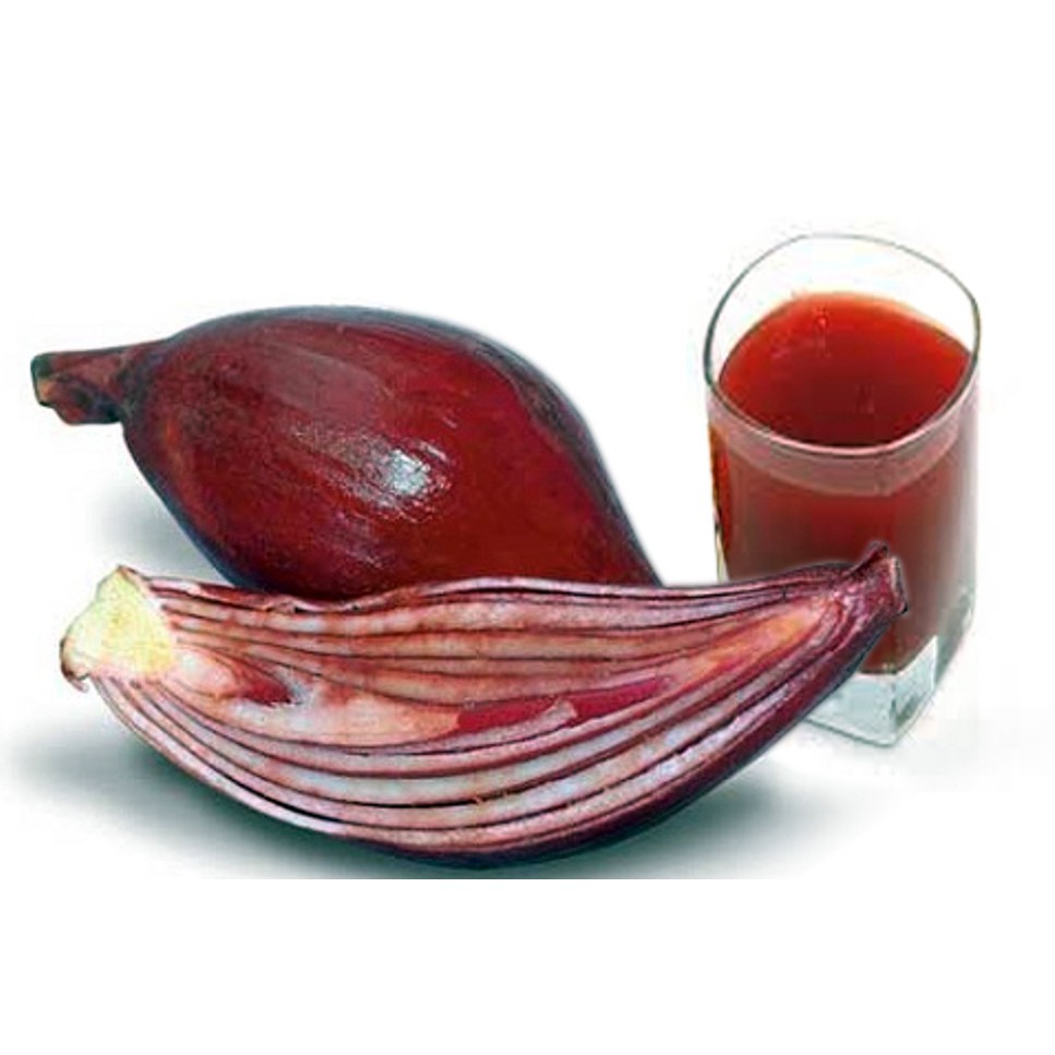 Sâm Đại Hành ( tỏi đỏ ) DV072