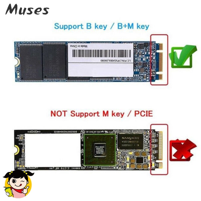 Muse07 Vỏ đựng ổ cứng M.2 NGFF - USB 3.1 Type-C SATA SSD 10Gbps chất lượng cao | BigBuy360 - bigbuy360.vn