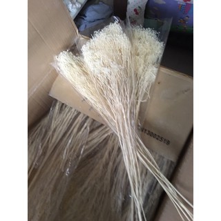 Hoa bloom groom khô