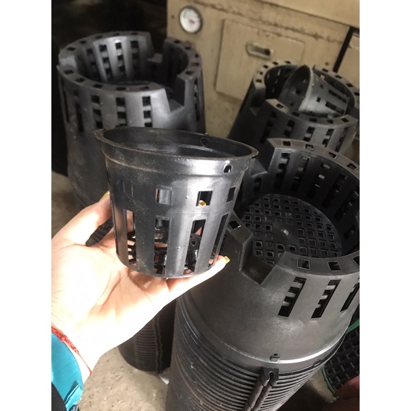 Chậu trồng lan Đen phi 18cm/ 21cm/ 23cm