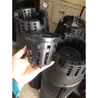Chậu trồng lan Đen phi 18cm/ 21cm/ 23cm