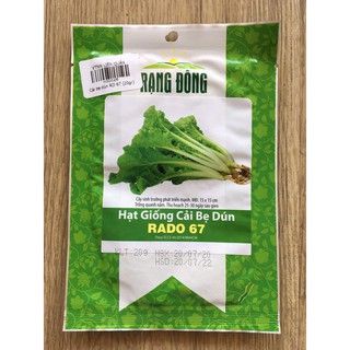 Cải Bẹ Dún RĐ 67