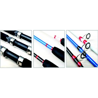 Cần câu cá 2 khúc ruột đặc
