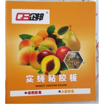 vỉ bẫy ruồi vàng đục trái