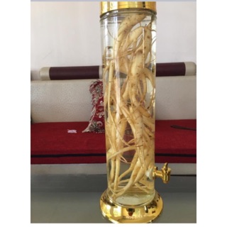 Sâm Dây Ngọc Linh loại 5 củ 1 kg