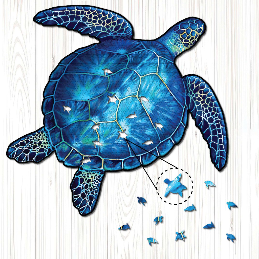 Xem hơn 100 ảnh về hình vẽ con rùa biển - daotaonec