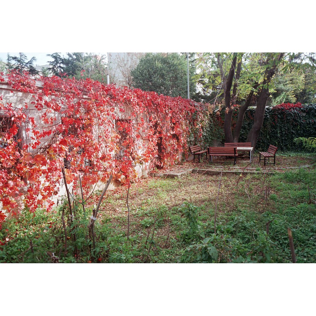 Fujicolor SUPERIA XTRA 400 36exp Date 06/2025  film 35mm loại hộp lẻ 1 hộp có 1 cuộn Single box