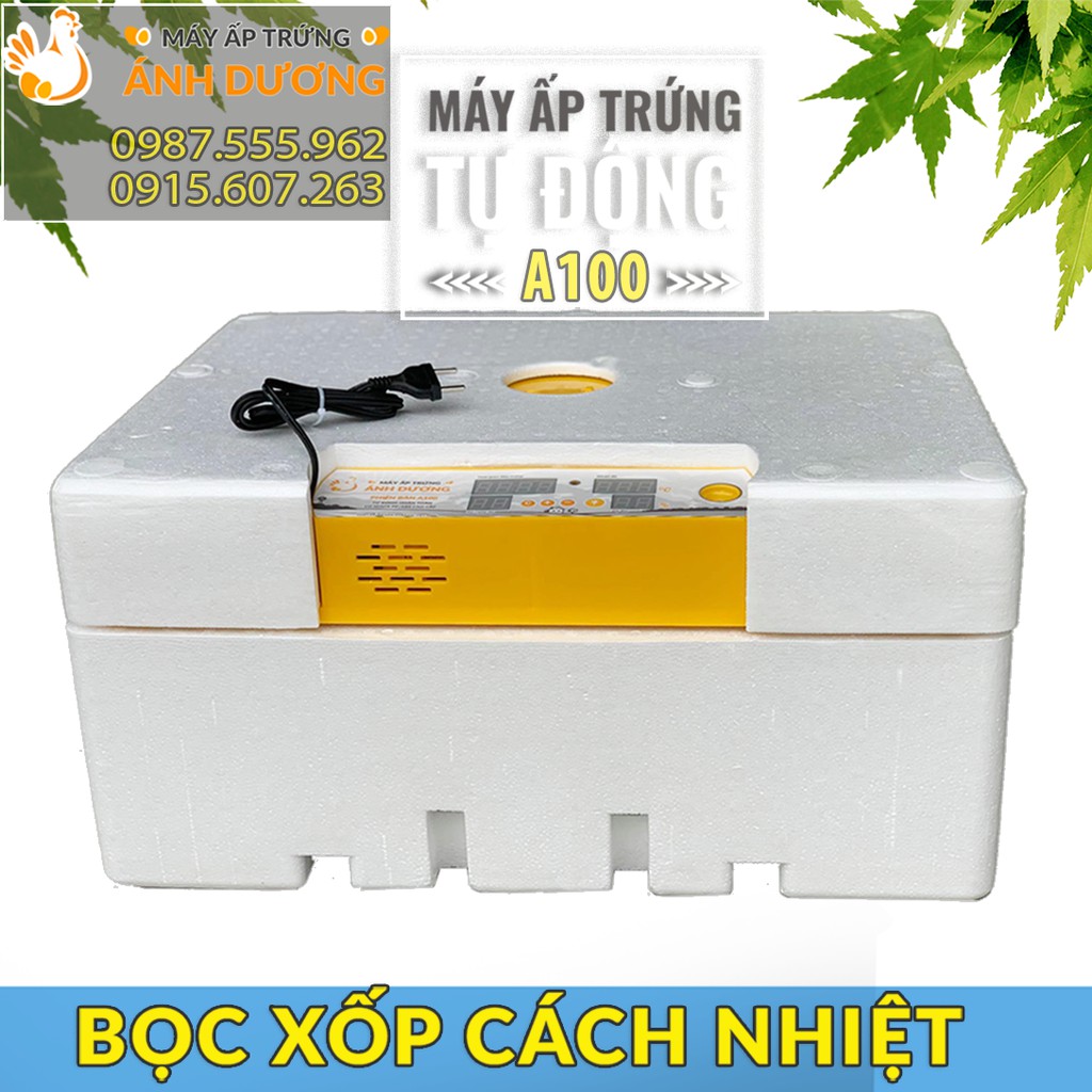 [Giá Rẻ Nhất] - Máy ấp trứng mini Ánh Dương A100 thùng nhựa - Ấp tự động 50 trứng - 1 tầng khay đảo nhôm