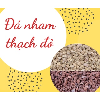 Đá nham thạch đỏ - Siêu phẩm cho sen đá và xương rồng