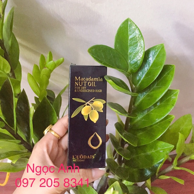 Tinh dầu dưỡng tóc macadamia nut oil 50ml