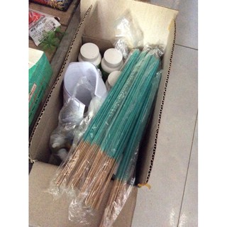 hương muỗi thái:gà chọi