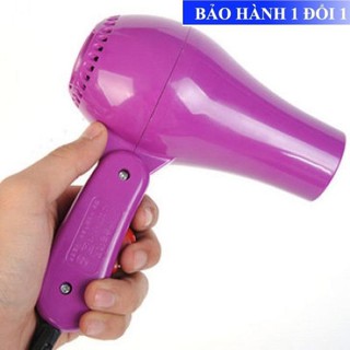 Máy sấy lông chó mèo mini cute