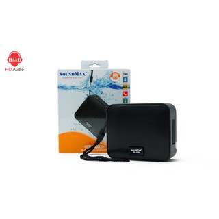 Loa di động SoundMax R-300
