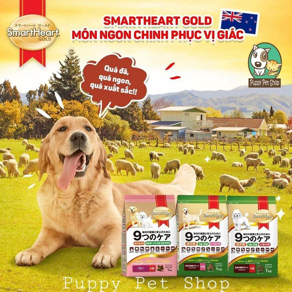 Thức ăn chó SmartHeart Gold