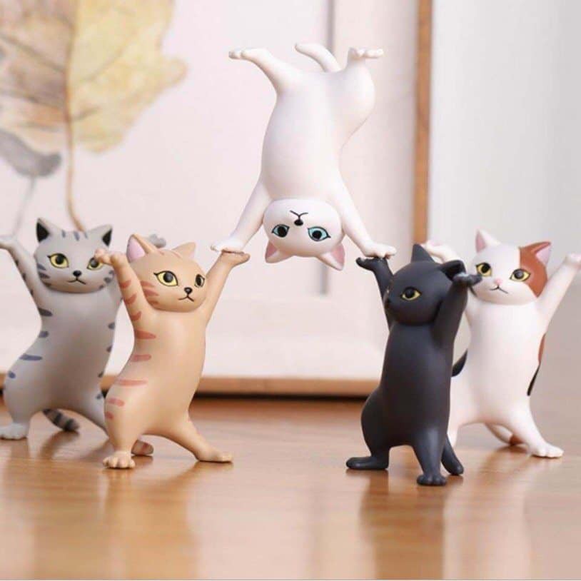 Bộ 5 chú mèo khiêu vũ vui nhộn