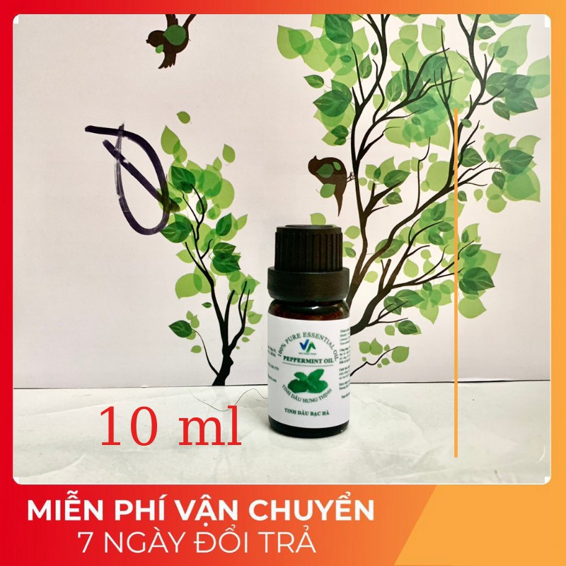 Tinh Dầu Bạc Hà Peppermint Vietnam | 100% Thiên Nhiên Nguyên Chất | Nhập Khẩu Từ Ấn Độ |